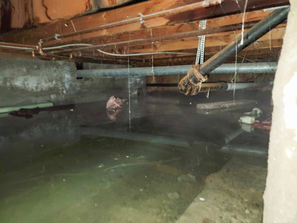 Best Emergency water damage restoration  in Andrews, SC
