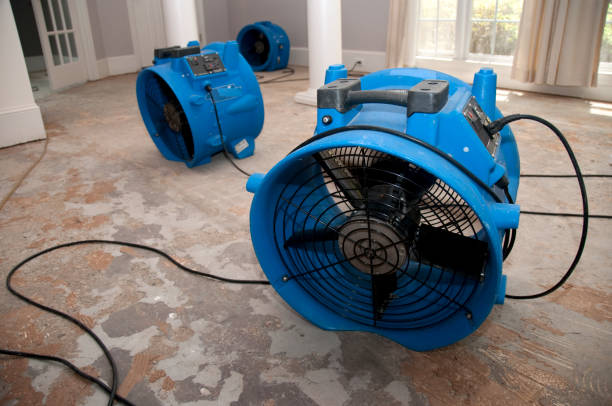 Best Flooded house restoration  in Andrews, SC